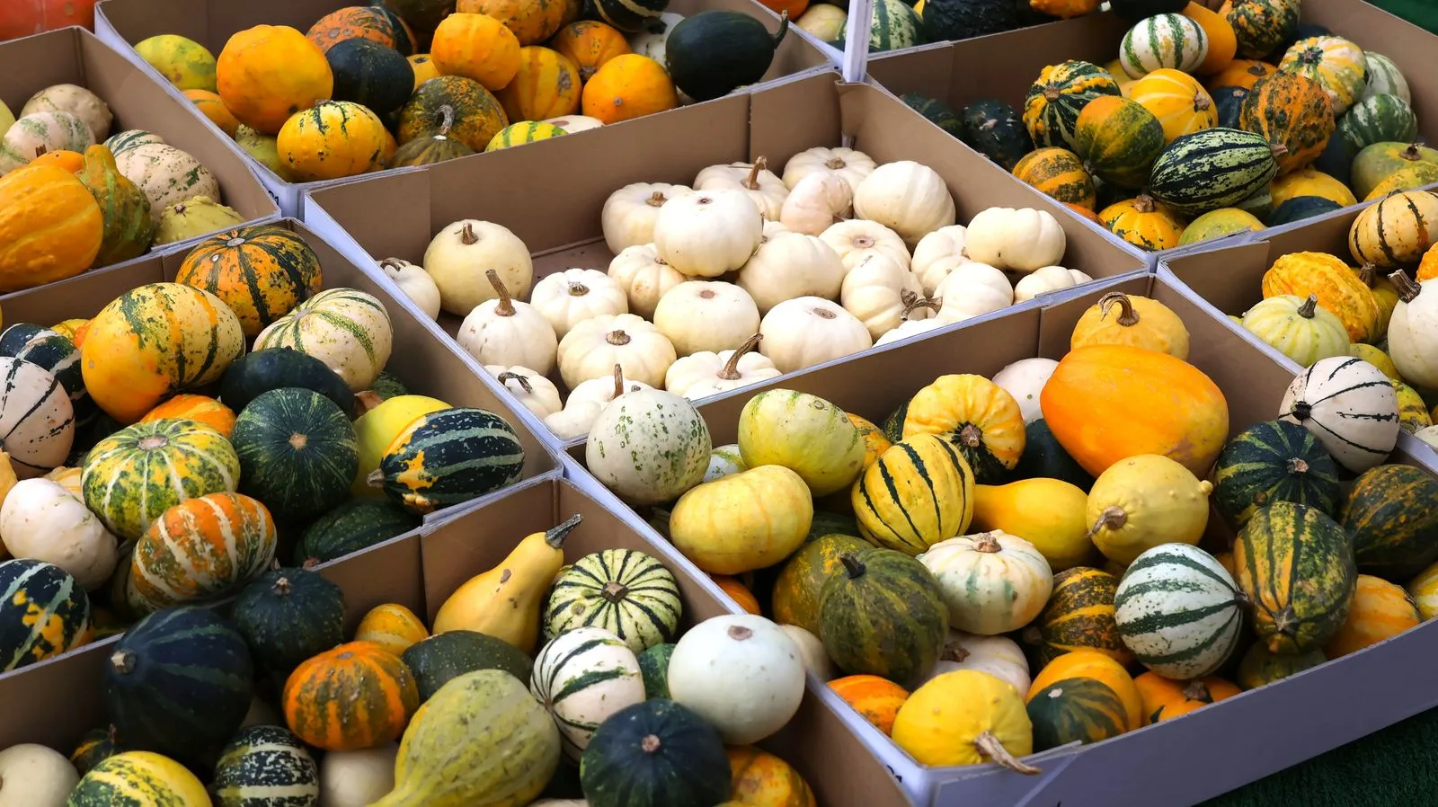 Easy Ways to Use Seasonal Produce